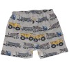 Bundles Baby Place Boy's Grey Short Set