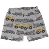 Bundles Baby Place Boy's Grey Short Set