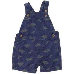 Carter's Boys Blue Overalls