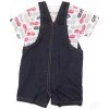 Carter's Boy's Blue Casual Set