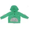 Carter's Boys Green Hoodie