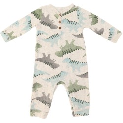 Carter's Boys Grey Romper