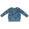 Cat & Jack Boy's Blue Sweater