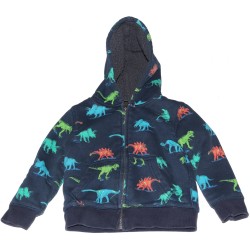Childrens Place Boys Blue Hoodie