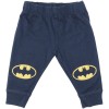 DC Boys Blue Pants