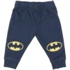 DC Boys Blue Pants