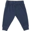 DC Boys Blue Pants