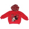 Disney Boys Red Hoodie