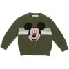 Gap Boys Green Hoodie