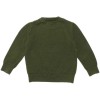 Gap Boys Green Hoodie