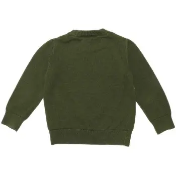 Gap Boys Green Hoodie