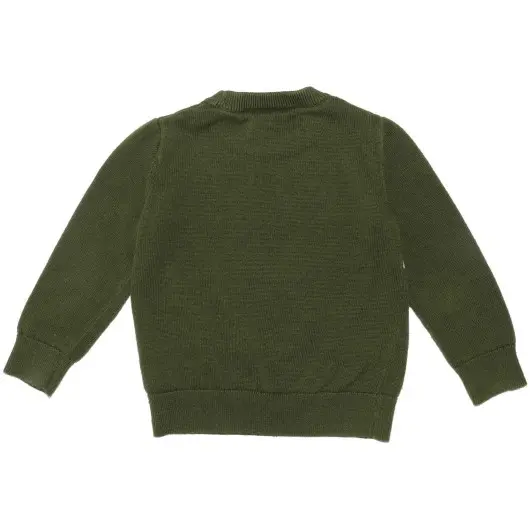 Gap Boys Green Hoodie