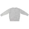 Gap Boys Grey Sweater