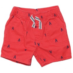 Nautica Boys Red Casual Shorts