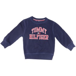 Tommy Hilfiger Boys Blue Sweater