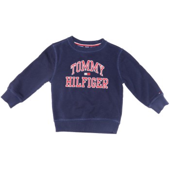 Tommy Hilfiger Boys Blue Sweater