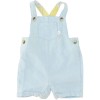 Unbranded Gender Neutral Blue Overalls