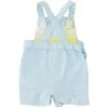 Unbranded Gender Neutral Blue Overalls